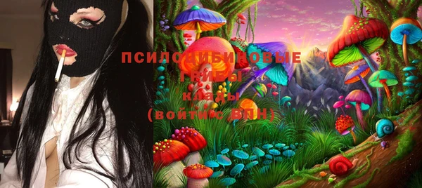 СК Алексеевка