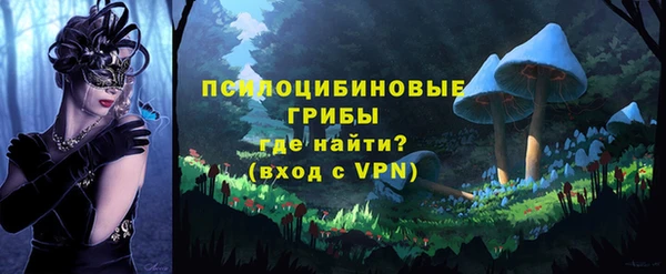 СК Алексеевка