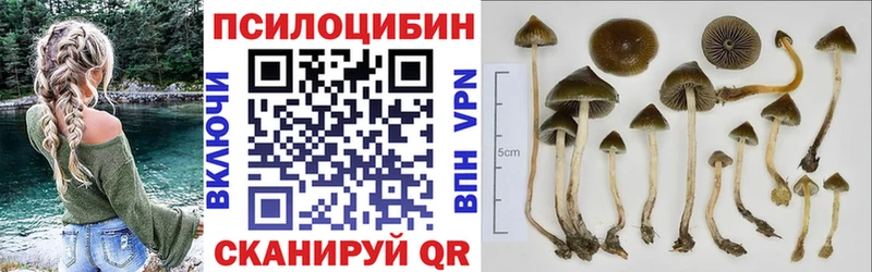 Галлюциногенные грибы Magic Shrooms  где купить наркотик  Первоуральск 